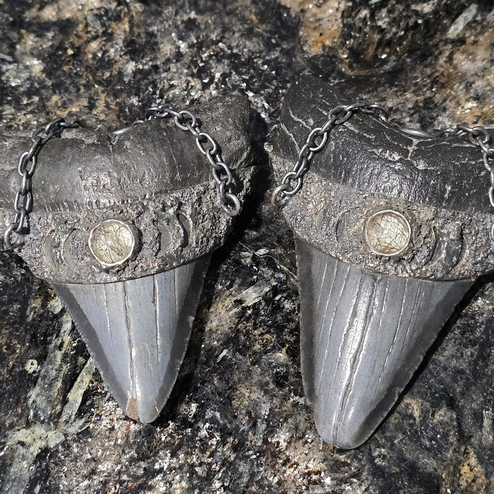 Fossil Shark Tooth Necklace